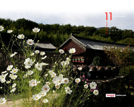 401015 (a): :1280x1024
